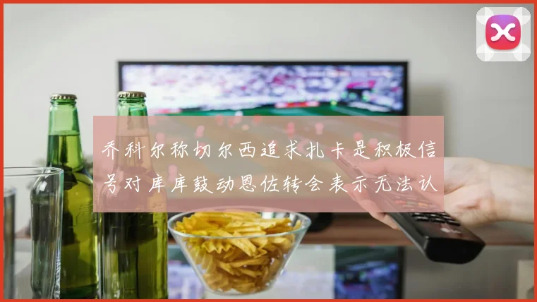 乔科尔称切尔西追求扎卡是积极信号对库库鼓动恩佐转会表示无法认同