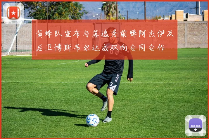 黄蜂队宣布与落选秀前锋阿杰伊及后卫博斯韦尔达成双向合同合作