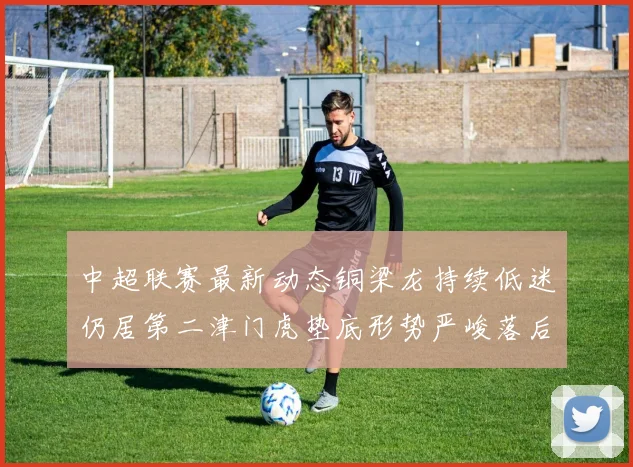 中超联赛最新动态铜梁龙持续低迷仍居第二津门虎垫底形势严峻落后安全区九分