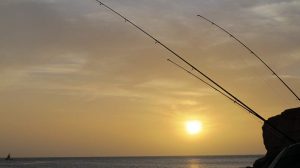 Pesca en Mauritania